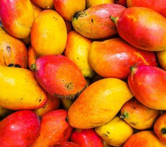 Mango