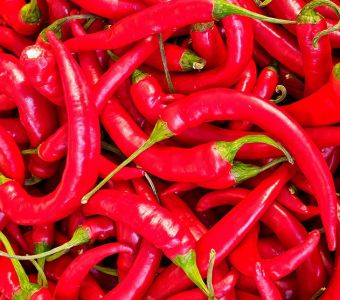 Chilli pepper