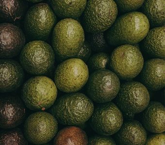 Avocado