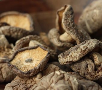 Getrocknete Pilze in einem Glas