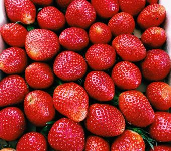 Organiczna truskawka