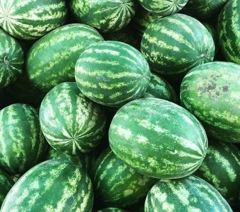 Watermelon
